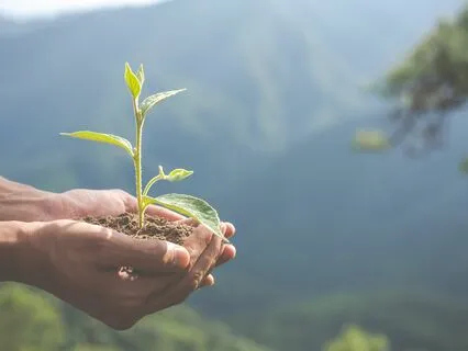 Connecting To Mother Earth (Planet Of Love)