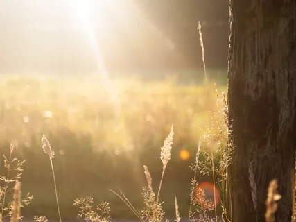 Connecting To Mother Earth