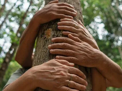 Connecting To Nature Through The Five Senses