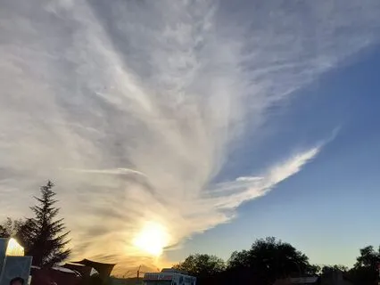 Connecting To Nature