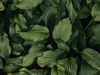 Connecting To Our Outside & Inside Experiences