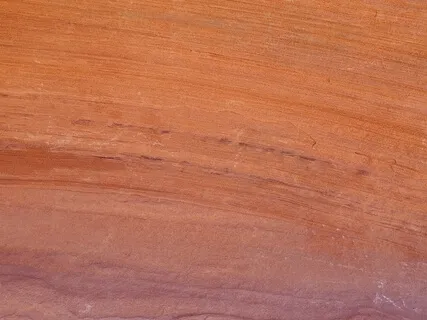 Connecting To Our Senses