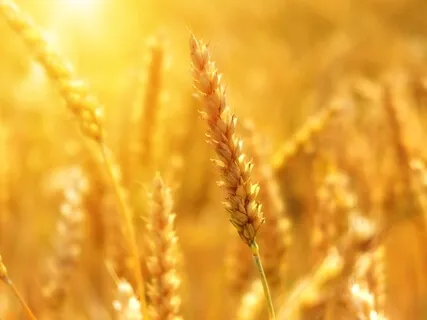 Connecting To Our Soul