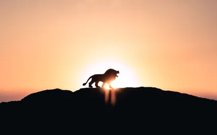 Connecting To Our Spiritual Sun