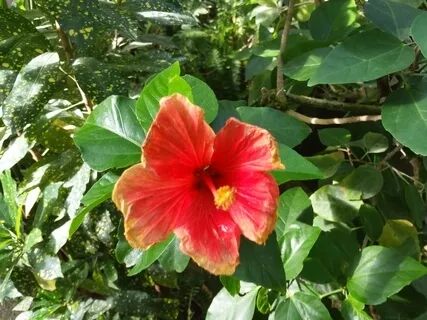 Connecting To Self - Embody, Calm + Rebalance