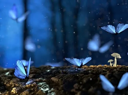 Connecting To Spirit For Rest Or Sleep