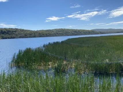 Connecting To The Body