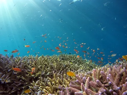 Connecting To The Breath