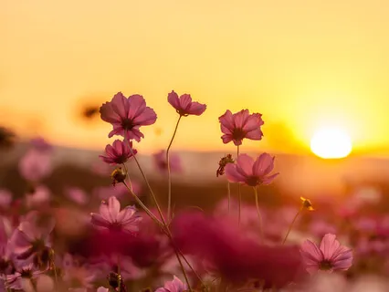 Connecting To The Breath