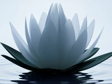 Connecting To The Crown Chakra