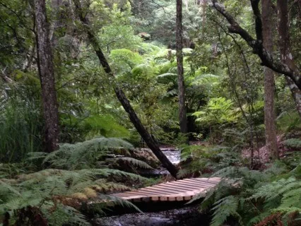 Connecting To The Earth With A Guided Grounding Meditation 