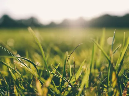 Connecting To The Elements Of Nature & Your Guardian Angel 