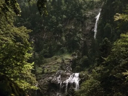 Connecting To The Elements Within You 