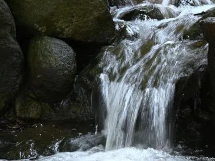 Connecting To The Elements