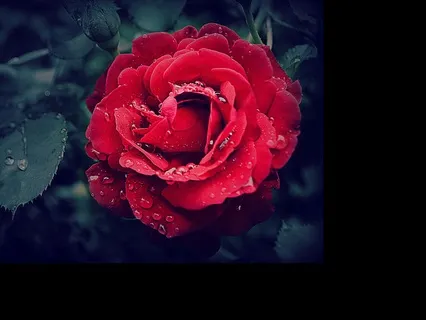 Connecting To The Energy Of Divine Love For Joy And Bliss