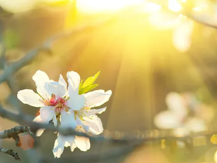 Connecting To The Healing Light Within