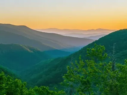 Connecting To The Heart Chakra And Air Element