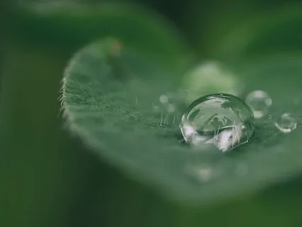 Connecting To The Heart Chakra