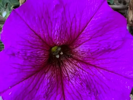 Connecting To The Highest Resource Within