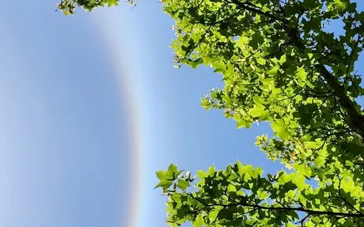 Connecting To The Inner Source