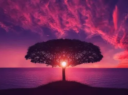 Connecting To The Primordial Energy With ThetaHealing