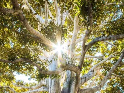 Connecting To The Sacred Of Your Own Body