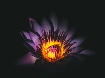 Connecting To The Soul Of Your Business