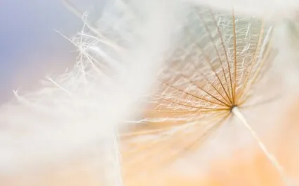 Connecting To The Source