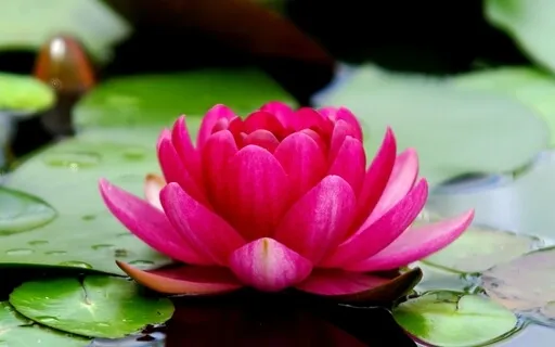 Connecting To The Source