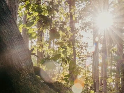 Connecting To The Time Before You Were Born