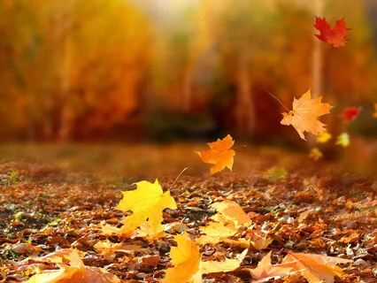 Connecting To The Truth Of You