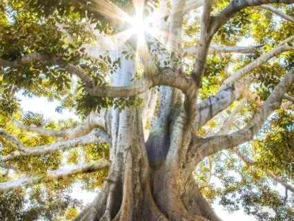 Connecting To God Using Coding Terminology