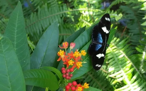 Connecting To Universal + Earth Energy