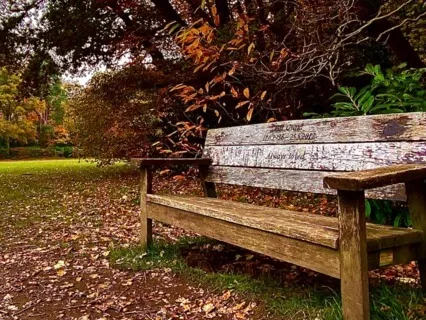 Connecting To Your Ancestors Guided Visualization