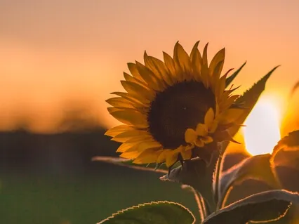 Connecting To Your Authentic Power 'I AM'