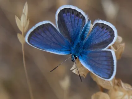 Connecting To Your Best Self - 10 Minute Daily Insight