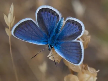 Connecting To Your Best Self - 20 Minute Daily Insight