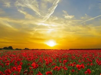 Connecting To Your Body With Movement