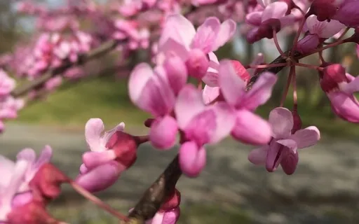 Connecting To Your Heart In Grief 