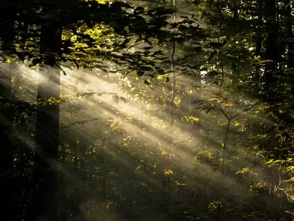 Connecting To Your Higher Self