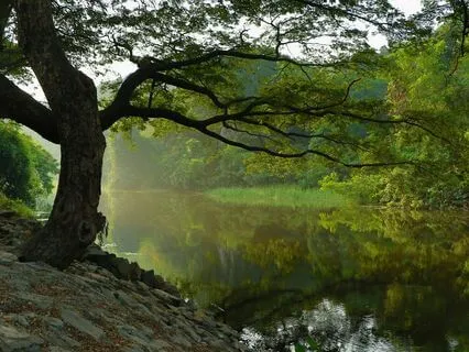 Connecting To Your Higher Self With Holy Fire Reiki