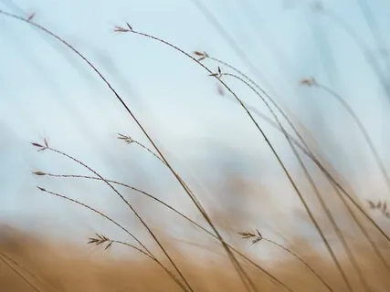 Connecting To Your Inner Calm