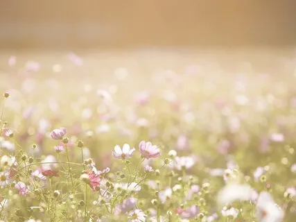 Connecting To Your Inner Guidance