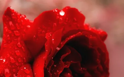 Connecting To Your Inner Wisdom Meditation 