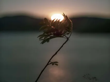 Connecting To Your Intuitive Power