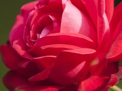 Connecting To Your Soul Essence