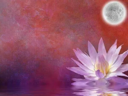 Connecting To Your Soul