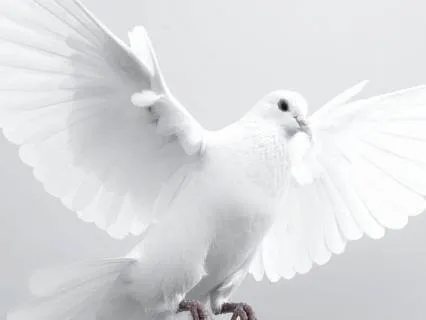 Connecting With A Loved One Passing Or Passed