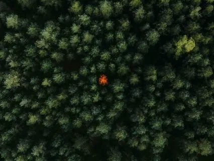 Connecting With A Protector Within