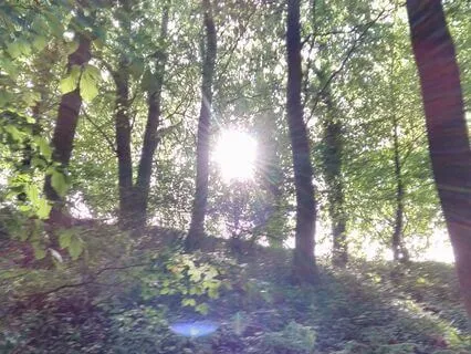 Connecting With Ancestors Of Spirit